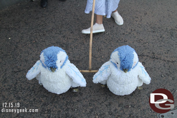 Some small penguins