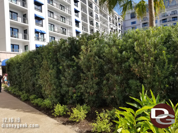 Hedges help to keep the pool area private.