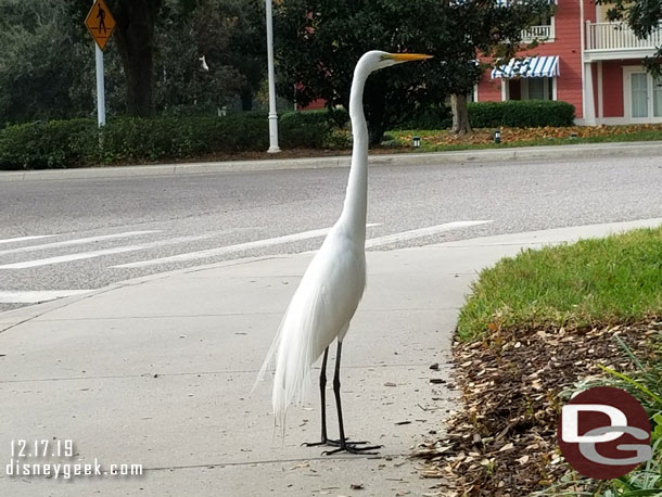 A bird stopped by while we waited.