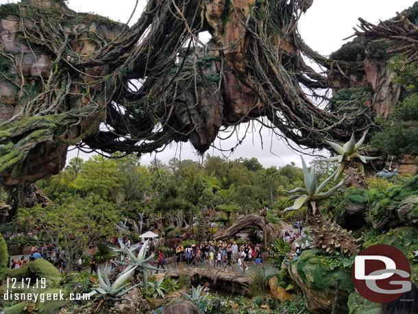 The view from the queue.