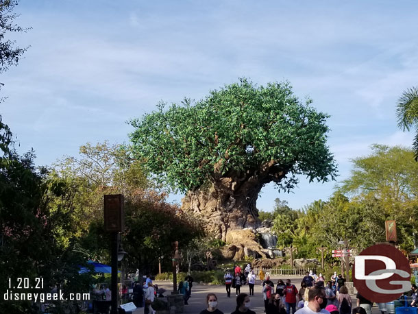 A final look at the Tree of Life as we exit the park for today.  It was 3:36pm.
