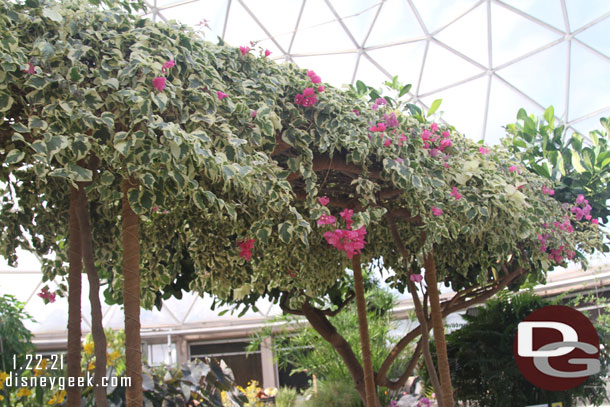 A look around as we sailed through the greenhouses.