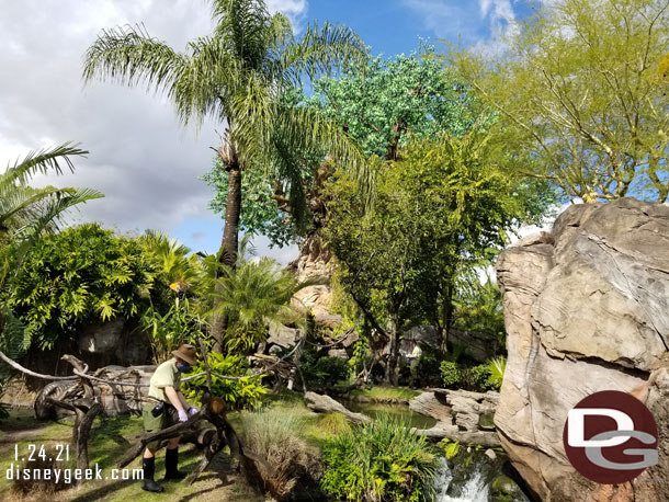 Feeding time for the lemurs 