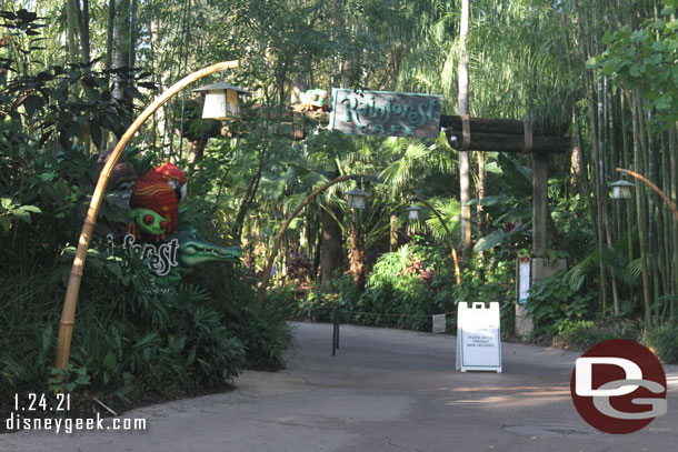 Passing by the Rain Forest Cafe entrance.