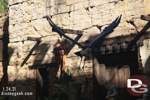 A stork in flight