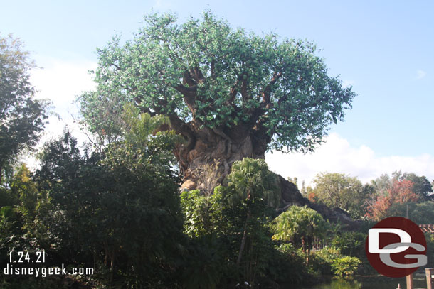 The Tree of Life