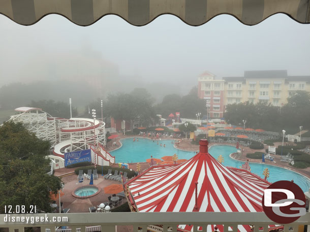 Woke up to another foggy morning.  Some activity in the pool this morning.