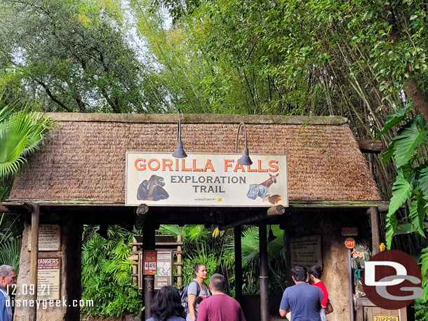 Decided to take a walk through Gorilla Falls