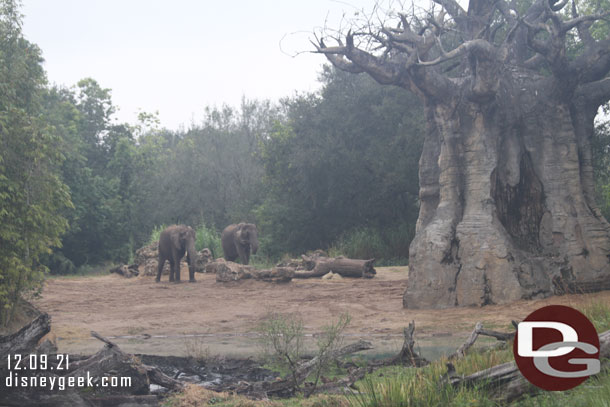 Passing through Elephant country.