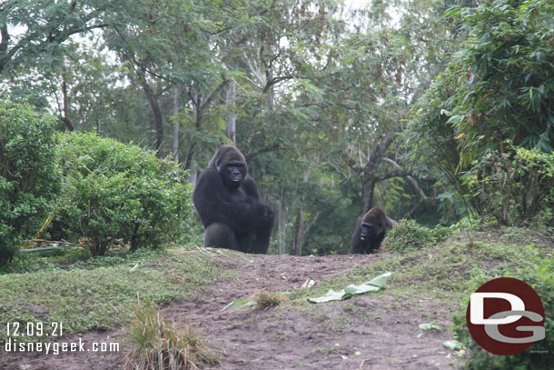 The Family troop was on the ridge.