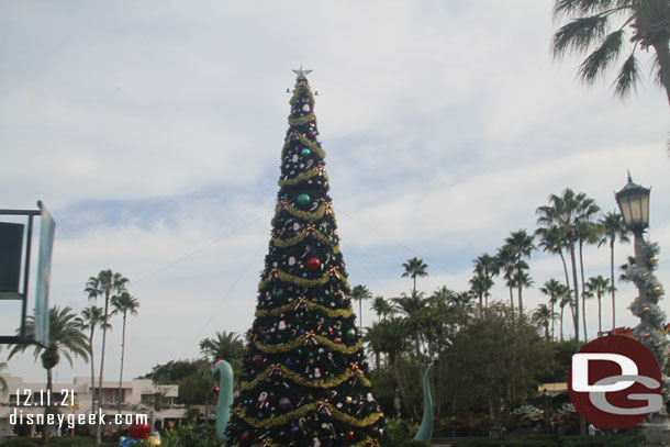 The Christmas tree in Echo Lake