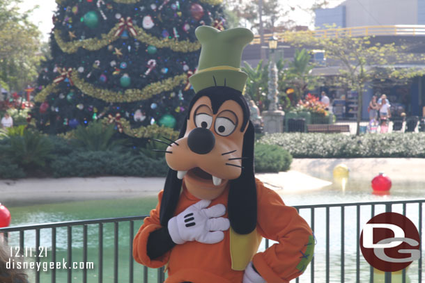 Goofy was out near Echo Lake