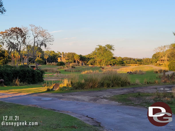 Sun setting on the savanna 