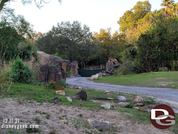 They were using the night safari route, so the road out to the elephants was closed.