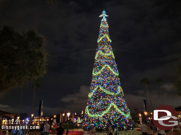 EPCOT Christmas Tree