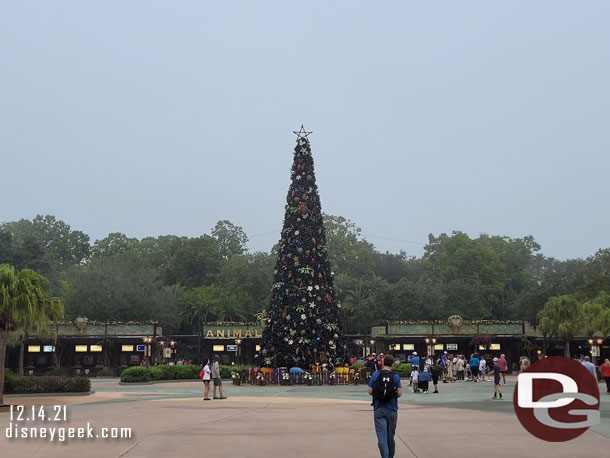 7:44am - Arriving at the park. This morning it opened at 8:00am for all and 7:30am for resort guests.