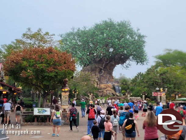 7:48am - Approaching the Tree of Life