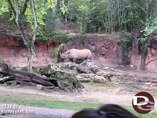 8:08am - Onboard and spotted a Black Rhino.