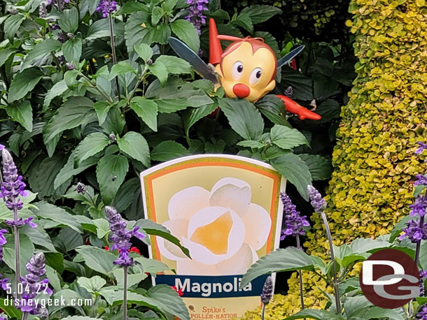 Spotted Spike the Bee