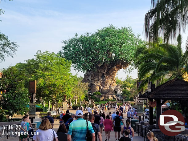 8:11am - 20 minutes from bus pickup to the park, through security, through the tap points and arrived in front of the Tree of Life.