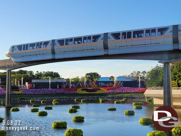 Monorail Coral cruising by