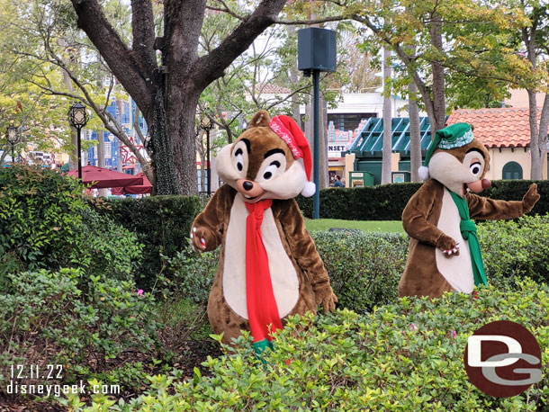 Chip and Dale were out greeting guests in the gardens near the Brown Derby