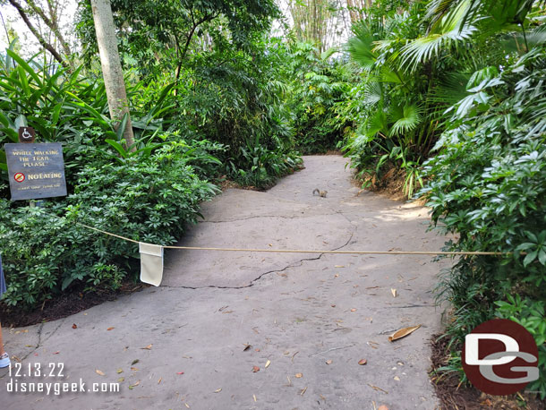 This odd little walkway was closed again/still.  Or maybe its a new squirrel exhibit...