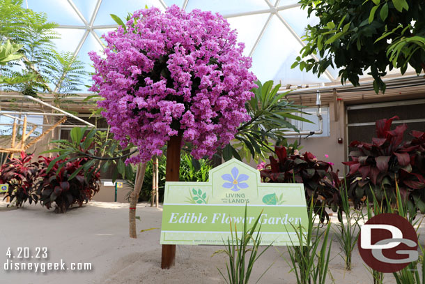 Edible Flower Gardens are highlighted for this year's Flower and Garden Festival