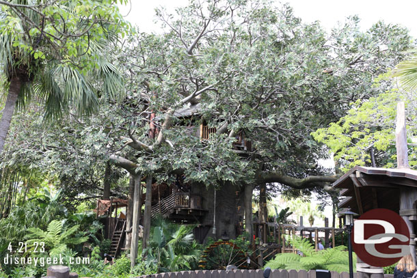 Swiss Family Treehouse