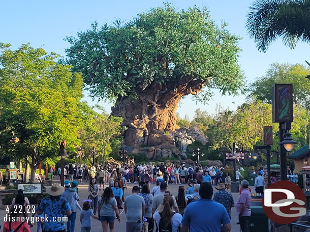 Most early entry guests were heading into the park on either side.  In the center a small number had started to gather for the morning celebration at 8:30.