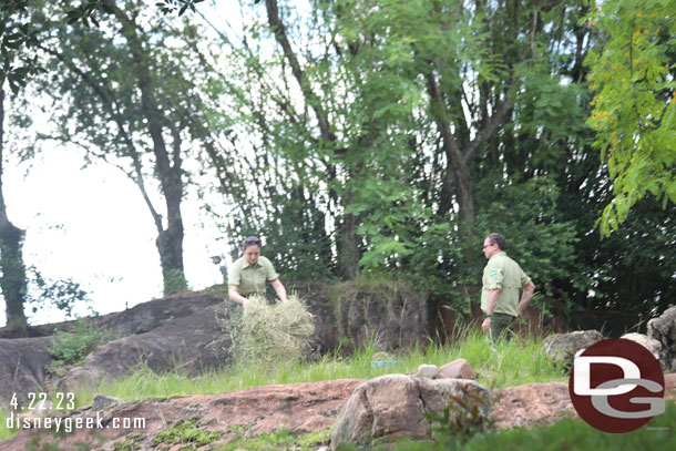 No black rhinos this afternoon, instead a couple of keepers