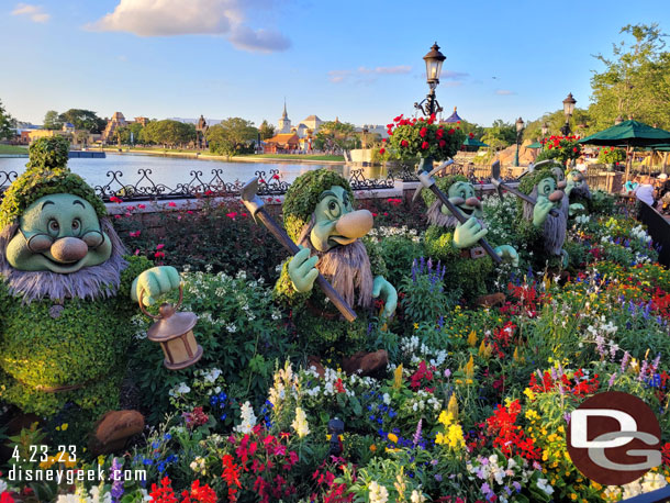 Dwarf topiaries