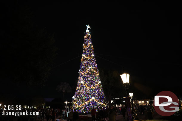 The EPCOT Christmas Tree