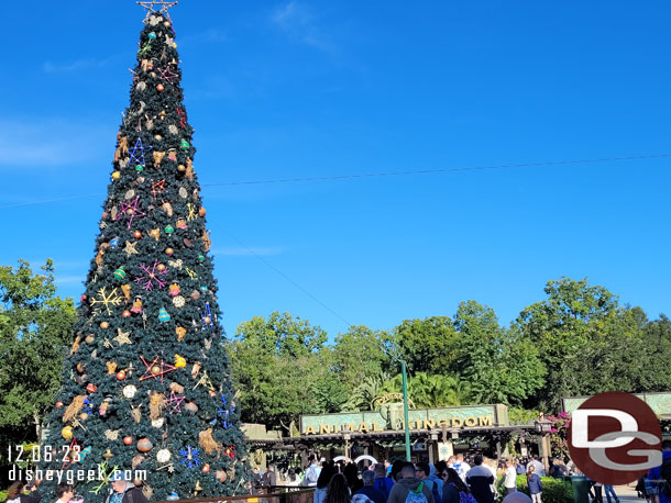 The Animal Kingdom Christmas Tree, it was about 35 minutes from the elevator to park entry.