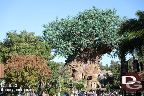 9:28am - The Tree of Life