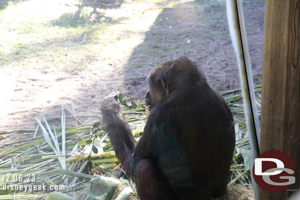 The family troop was near the window