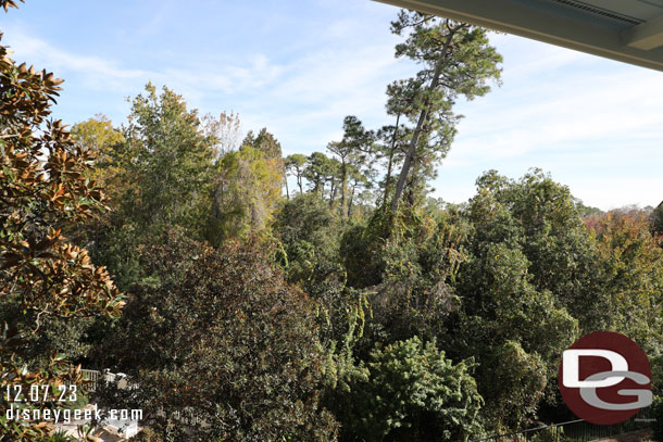 Our view was of the trees, beyond those was the road then EPCOT.