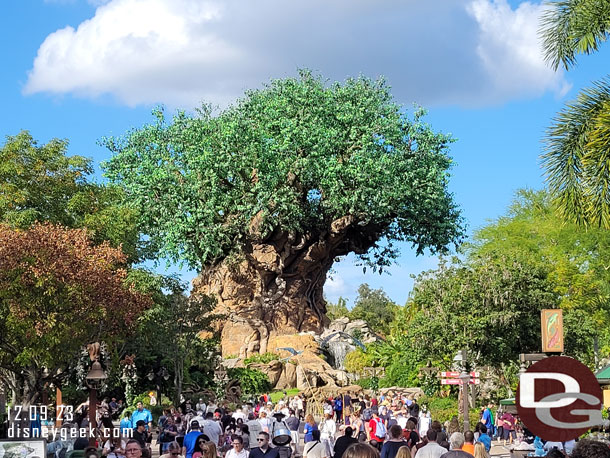 Merry Menagerie and the Tree of Life