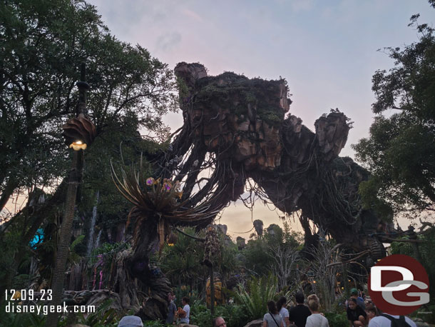 Took a walk through Pandora while waiting for the sun set set.