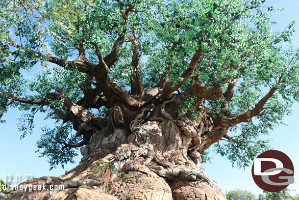 The Tree of Life