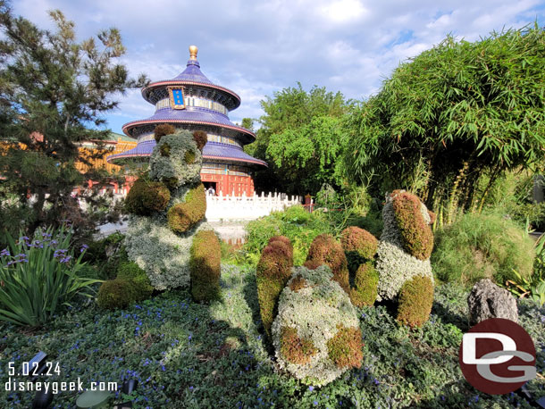 Giant Panda topiaries in China