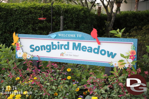 Songbird Meadow