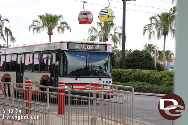 3:03pm - My bus for Animal Kingdom arriving.