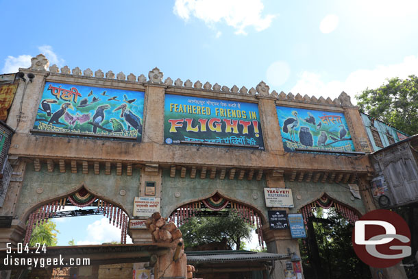Decided to stop and see Feathered Friends in Flight! since it was about to start.