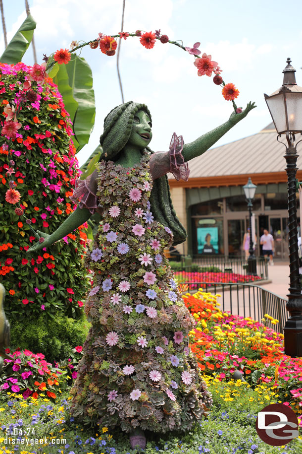 Isabela Topiary