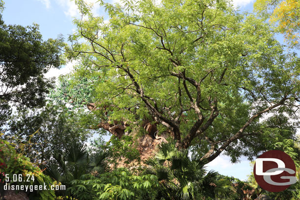 Decided to walk around the Tree of Life Garden