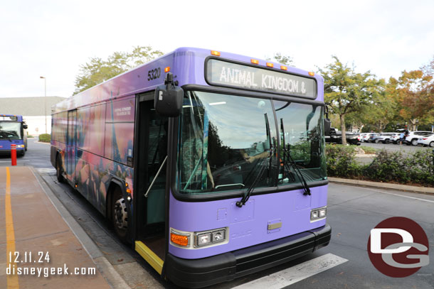 8:33am - Boarding a bus to the Animal Kingdom