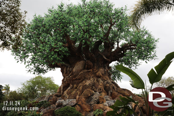 The Tree of Life from the walkway to Asia