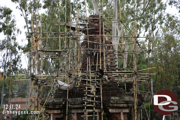 Gibbons in Asia