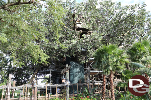 Renovation continues on the Swiss Family Treehouse